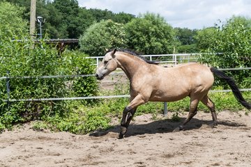 Bild 174 - Vivi